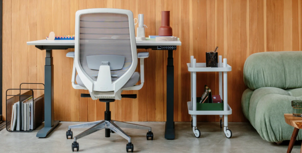 Branch Ergonomic Chair with adjustable lumbar support
