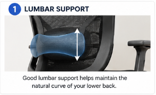 Office chair lumbar support helps maintain the natural curve of the lower back